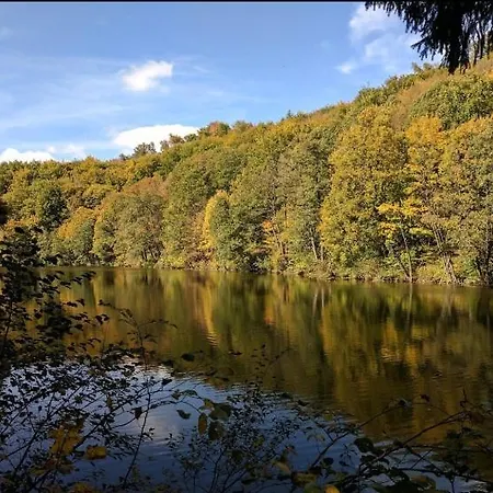 Lovely For 6guest Forest Park 10minutes From Center Apartamento *