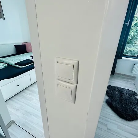 Lovely For 6guest Forest Park 10minutes From Center Apartment *