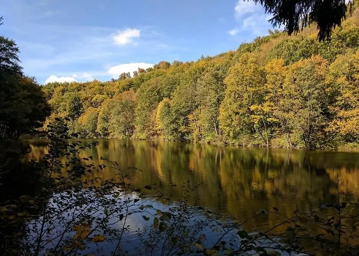 Lovely For 6guest Forest Park 10minutes From Center Apartament *